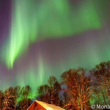 Susitna River Lodging, Suites ทัลคีทนา ภายนอก รูปภาพ