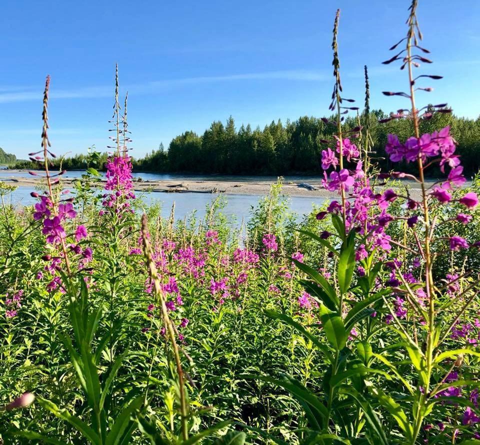 Susitna River Lodging, Suites ทัลคีทนา ภายนอก รูปภาพ